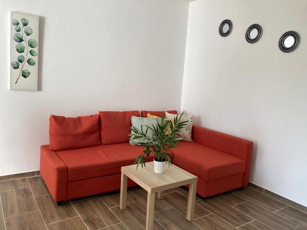 Apartamentos Coconuts 巴亚希贝 外观 照片